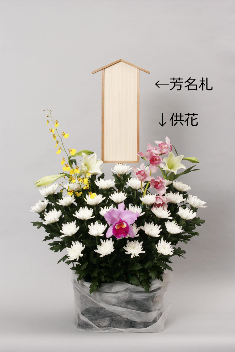 お葬式における供花の送り方－手順や注意点、花の種類や相場、芳 