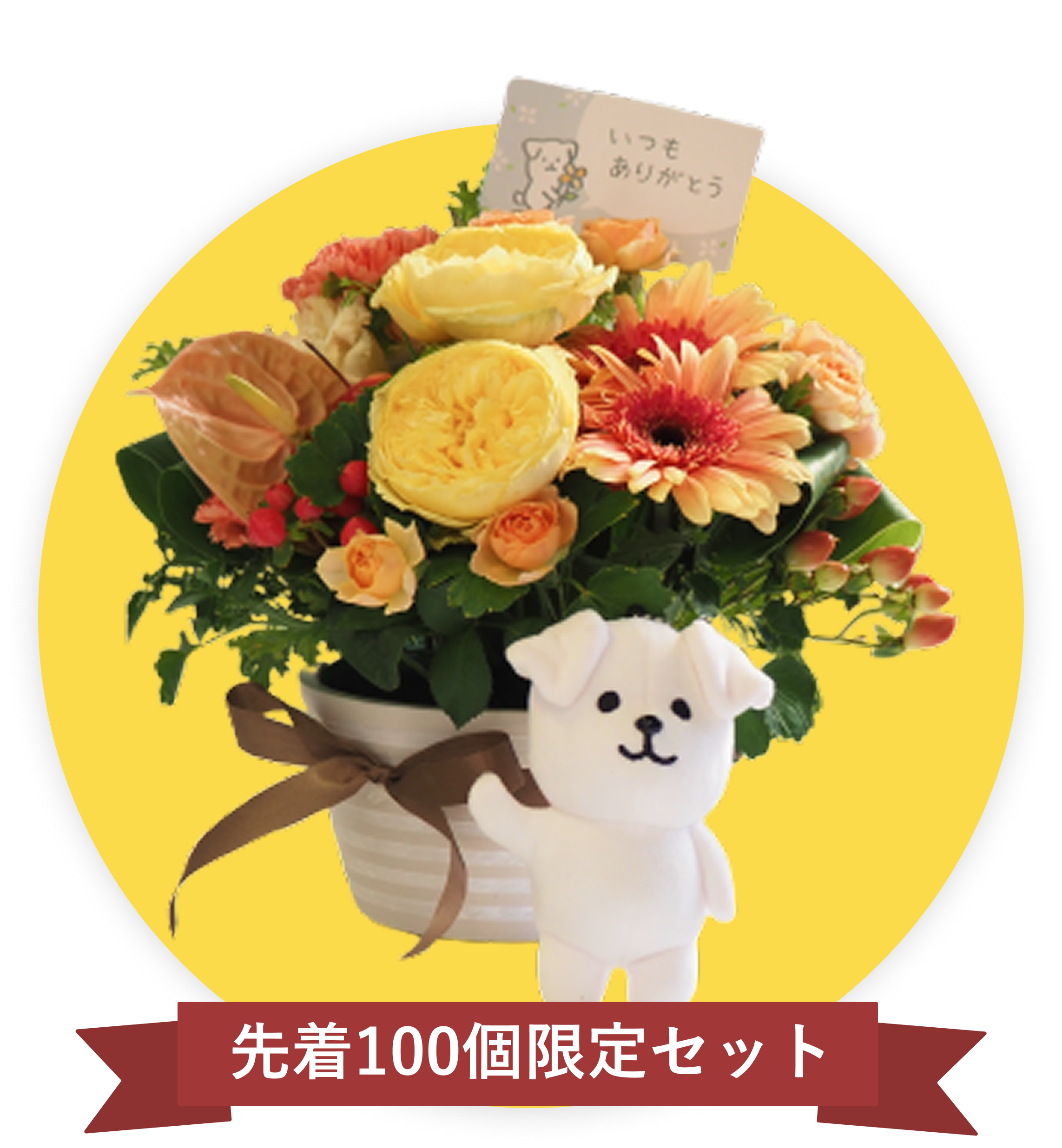 限定100個セット
